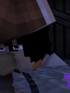 Animaticota