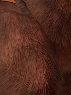 WildLifeFurries
