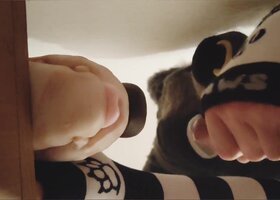 Haruthefurry