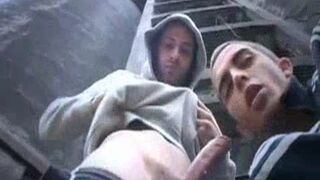 Fit Scally Chav guys Outdoor trio