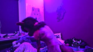 this submissive furry bunny slut is getting pegged by a furry wolf so he knows his place