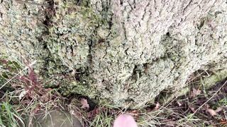 Winter pee compilation