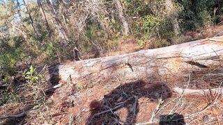 almost got caught on nature trail