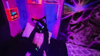 Alleycat paws off with new toy