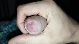 Routine Masturbation of the Boy with the Insatiable Cock Discharges Sperm in the Early Morning
